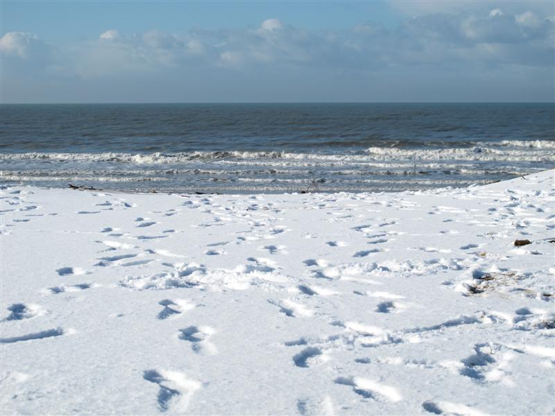 grand plage oleron neige